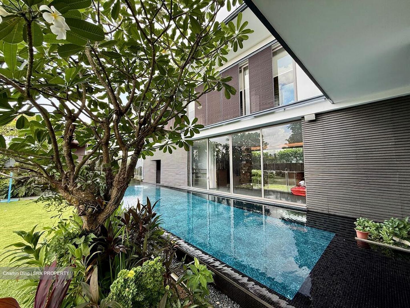 Braddell Heights Estate (D19), Detached #569639811